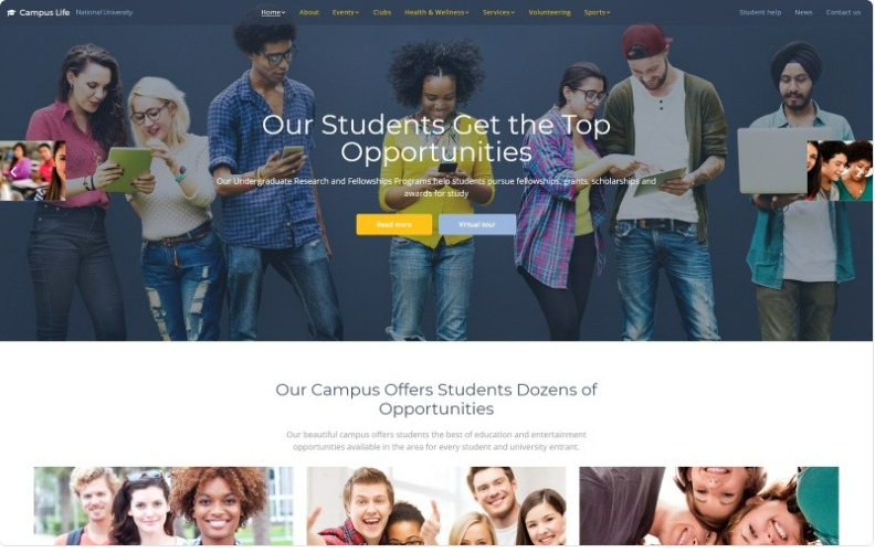 agencia desarrollo web software a la medida marketing digital La Paz Santander colombia